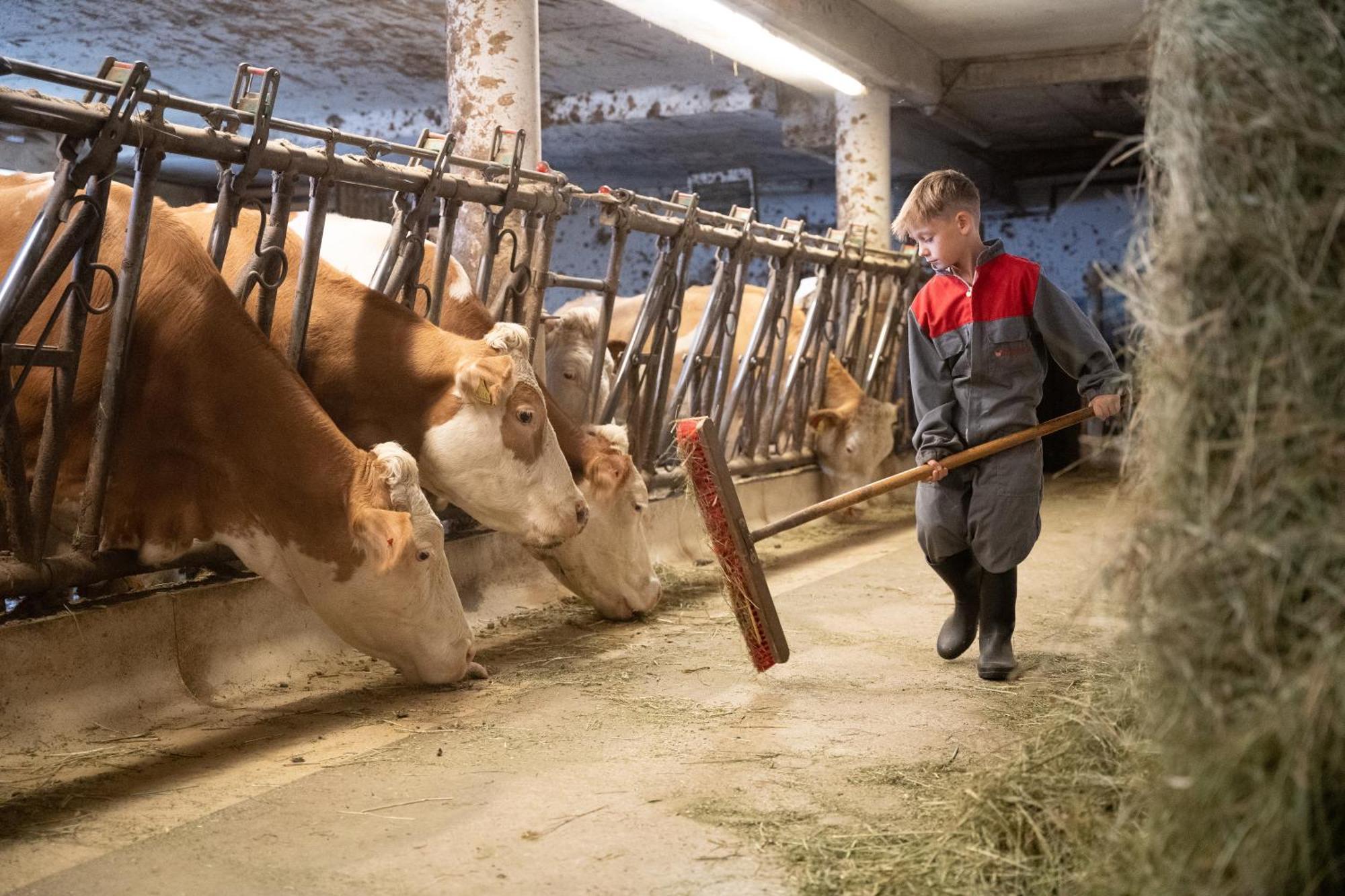 Elslerhof Lägenhet Toblach Exteriör bild